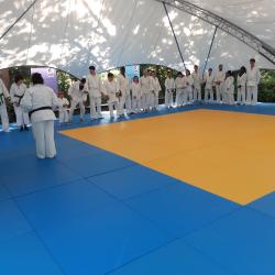 Judoka mit einer Beeinträchtigung zeigen Ihr Können beim Festival des Sports auf dem Hessentag 2023 in Pfungstadt Judoka mit einer Beeinträchtigung zeigen Ihr Können beim Festival des Sports auf dem Hessentag 2023 in Pfungstadt