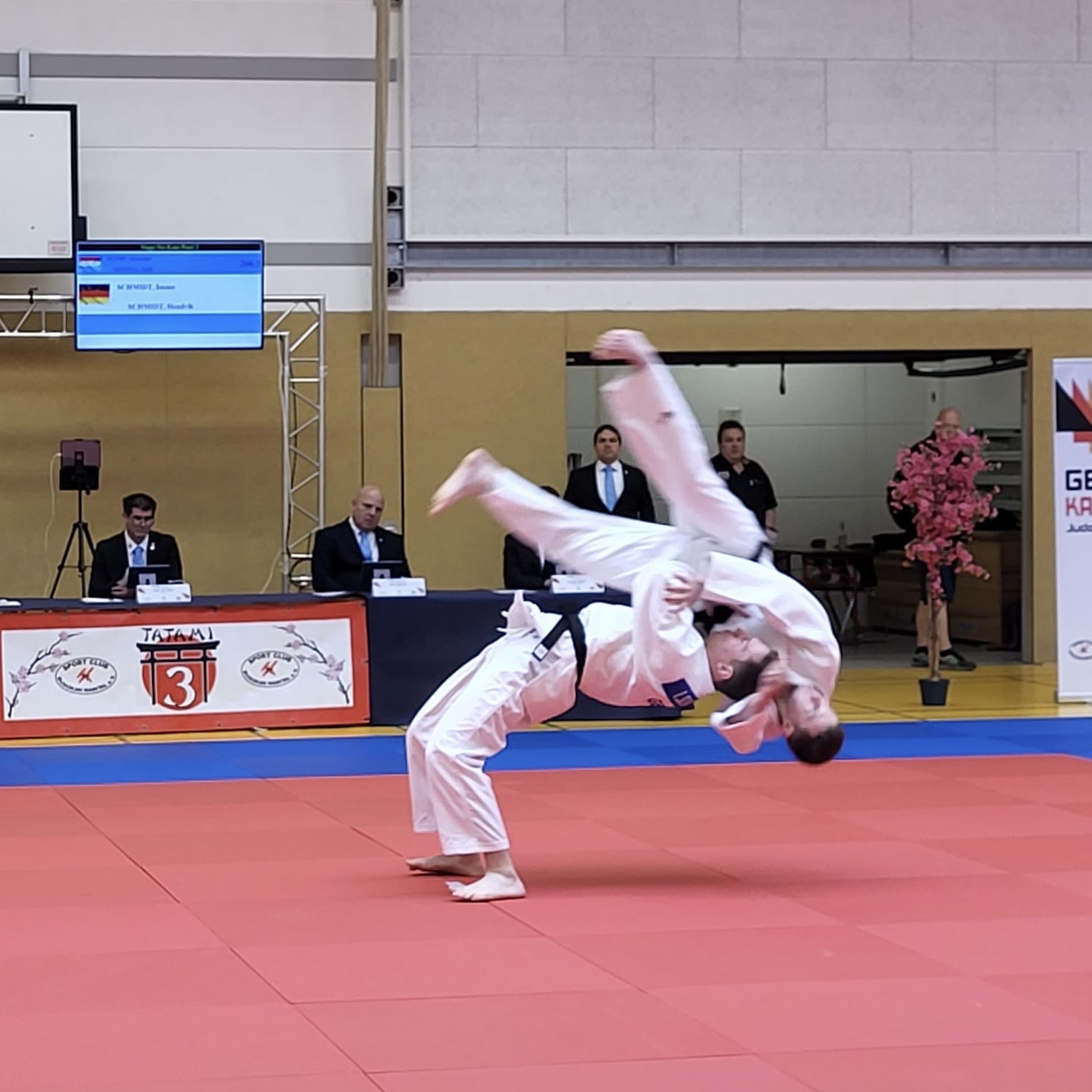 02 f3830109 48ab 4be0 b944 44cf79ee77db